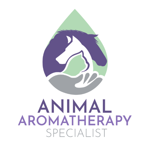 Trois séances conseil pour votre animal! Nac et oiseaux